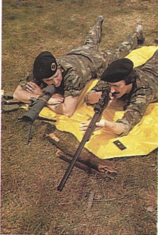two soldiers lying on ground with rifles